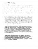 Deep water Horizon reporte evidencia