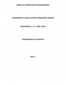 MODOS DE PRODUCCION MICROECONOMIA