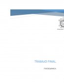TRABAJO FINAL. FISICOQUÍMICA