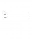 El mito del emprendedor