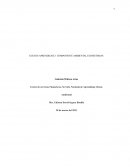 COMPONENTE AMBIENTAL ECOSISTEMAS
