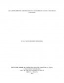 LOS ASENTAMIENTOS SUBURBANOS EN EL MUNICIPIO DE ARAUCA NECESIDAD O NEGOCIO