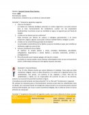 ¿Que son los lípidos?