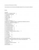 Las técnicas de fermentación en México