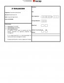 Prueba de Economia Internacional, industria del Pisco Chileno