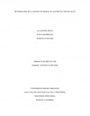 METODOLOGIA DE LA MATRIZ DE RIESGO EN LOS PROYECTOS SOCIALES