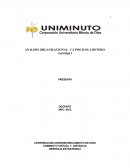 Análisis organizacional- misión, visión, políticas y valores