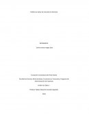 Análisis de datos de mercado de vehículos