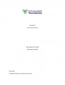 ¿Qué les recomendarías a los usuarios de Internet para cuidar los derechos de autor?