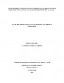 PROYECTO DE INVESTIGACION DE LAS POSIBLES CAUSAS DEL CONSUMO DE SUSTANCIAS PSICOACTIVAS EN LOS JOVENES DEL MUNICIPIO DE ARAUCA