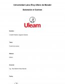 Control de Lectura. Materia: RRHH