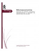 Calcular La Elasticidad Precio de la Demanda