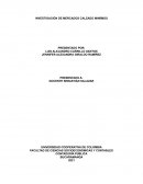 INVESTIGACIÓN DE MERCADOS CALZADO MINIÍMOS