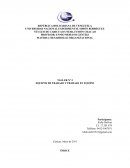 TALLER Nº 3 EQUIPOS DE TRABAJO Y TRABAJO EN EQUIPO