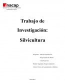 Seguridad y Riesgos Industriales en Industria Silvicultura