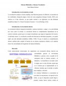 Sistema Hidraulico y sistema circulatorio