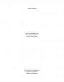 Acta y smart de las torres petronas