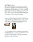 Tarea 2 Diseño de la pieza en equipo