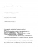 RESUMEN MERCADO EUROPEO