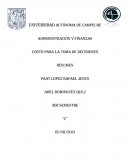 Administración y finanzas. Costo para la toma de decisiones