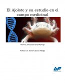 El ajolote y su estudio en el campo de la medicina