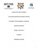 Ingeniería Industrial Trabajo “Check List”