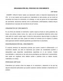 ORGANIZACIÓN DEL PROCESO DE CRECIMIENTO