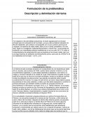 Formulación de la problemática Descripción y delimitación del tema