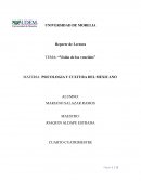 Visión de los vencidos