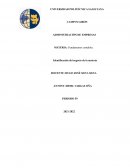 Fundamentos contables. Identificación del negocio de la materia