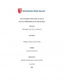 Informe test de la familia