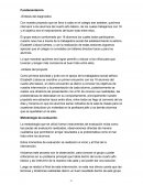 Fundamentación. -Síntesis del diagnostico