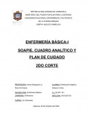 Enfermería. SOAPIE, CUADRO ANALÍTICO