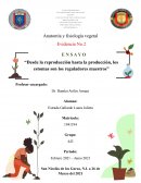 Anatomía y fisiología vegetal