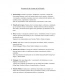 Resumen de las 8 ramas de la filosofía