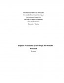 Sujetos Procesales y la Trilogía del Derecho Procesal