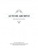 ENSAYO AUTO DE ARCHIVO