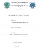 MICROBIOLOGÍA Y PARASITOLOGÍA