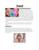 Proyecto-VerseK