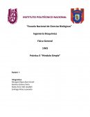 Practica 3 Pendulo Simple