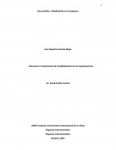 Caso práctico. Globalización en la empresa