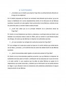 Cuestionario y organigrama Frigo-Star