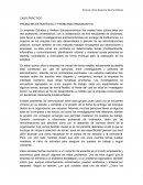 CASO PRÁCTICO PROBLEMA ESTRATÉGICO Y PROBLEMA ORGANIZATIVO
