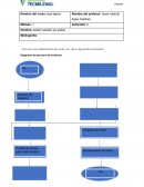 Act 1 administracion. Reduccion de tiempos de ciclos