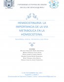 HEMOCISTINURIA: LA IMPORTANCIA DE LA VIA METABOLICA EN LA HOMOCISTEINA