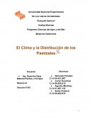 El Clima y la Distribución de los Pastizales