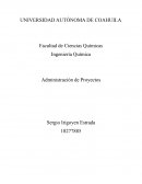 Ensayo de la “Guía de administración de proyectos”