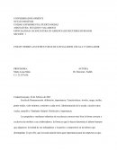 ESTRUCTURAS DE LOS SALARIOS, ESCALA Y TABULADOR