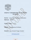 ENSAYO- FUNDAMENTOS DE LAS REDES DE DATOS