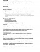 Sector externo microeconomia